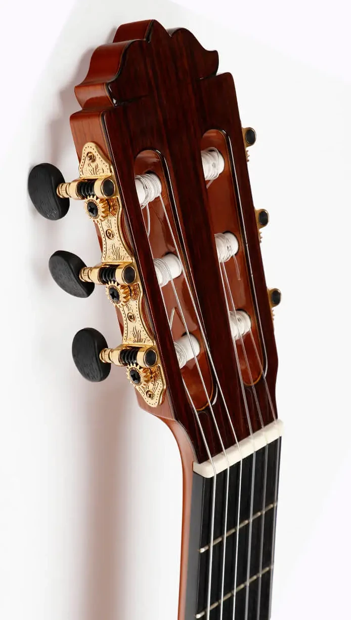 Flamenco-2.webp